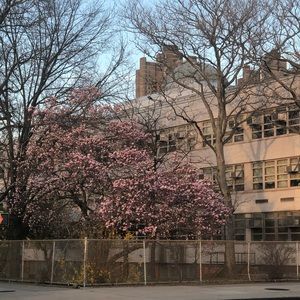 Meet your Posher, Leelee